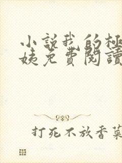 小说我的极品小姨免费阅读