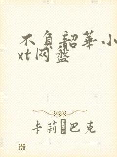 不负韶华小说txt网盘