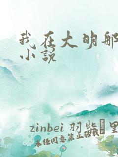 我在大明那些年小说