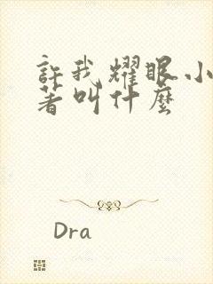 许我耀眼小说原著叫什么