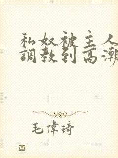 私奴被主人玩弄调教到高潮小说