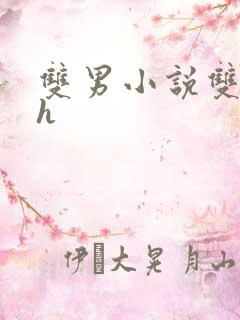 双男小说双性高h