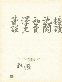 萧泽和沈榕宁小说免费阅读