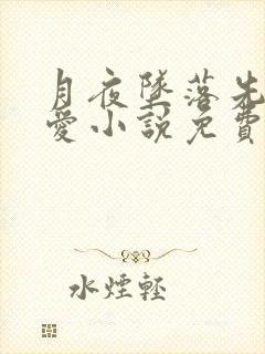 月夜坠落先婚后爱小说免费阅读全文