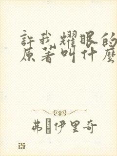 许我耀眼的小说原著叫什么