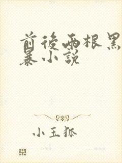 前后两根黑人粗暴小说