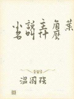 小说主角叶凡书名叫什么