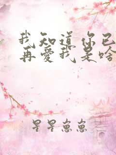 我知道你已经不再爱我是啥歌