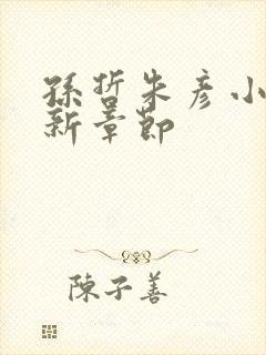 孙哲朱彦小说最新章节