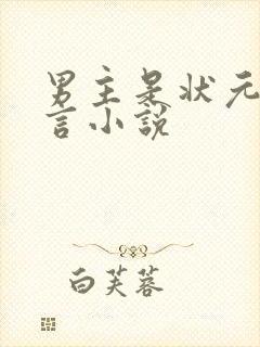 男主是状元的古言小说