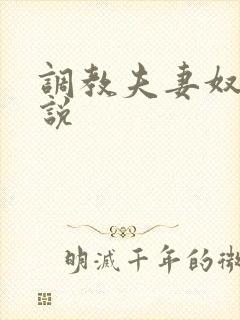 调教夫妻奴的小说