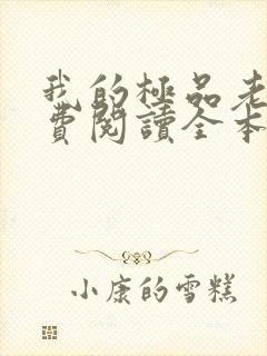 我的极品老婆免费阅读全本