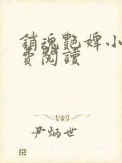 销魂艳婢小说免费阅读