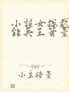 小说女总裁的全能兵王萧晨