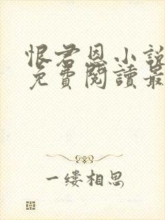 恨君恩小说全文免费阅读最新章节