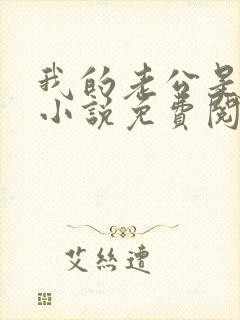 我的老公是酷哥小说免费阅读全文