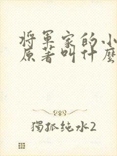 将军家的小娘子原著叫什么