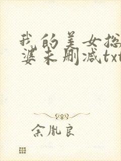 我的美女总裁老婆未删减txt