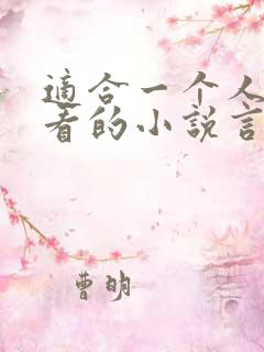 适合一个人晚上看的小说言情