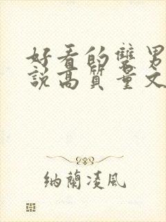 好看的双男主小说高质量文笔好