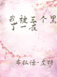 我被三个黑人操了一夜