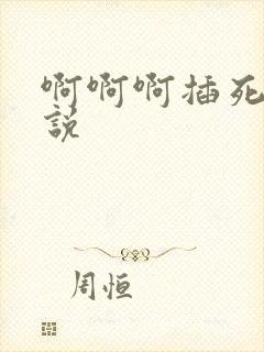 啊啊啊插死我小说