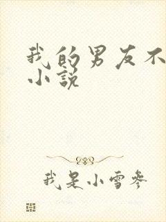 我的男友不是人小说