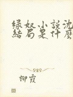 绿奴小说沈哥大结局是什么