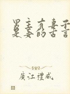 男主有妻子女主是妾的古言