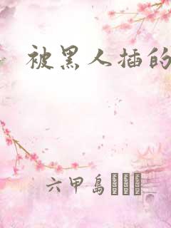 被黑人插的小说