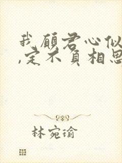 我愿君心似我心,定不负相思意什么意思