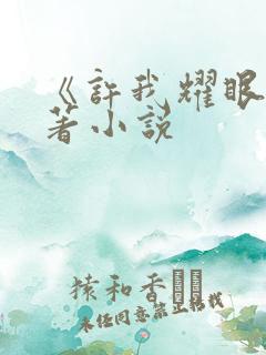 《许我耀眼》原著小说