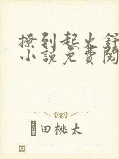 撩到起火舒漾的小说免费阅读全文