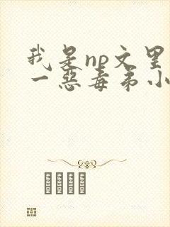 我是np文里攻一恶毒弟小说免费阅读