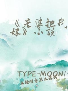 《老婆把我变伪娘》小说