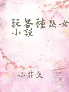 玩各种熟女少妇小说