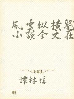 风云纵横刘穆薇小说全文在线阅读免费无弹窗