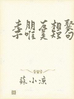 老朋友相聚的句子唯美短句