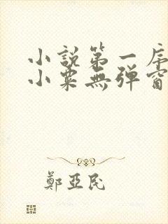 小说第一序列任小粟无弹窗无广告