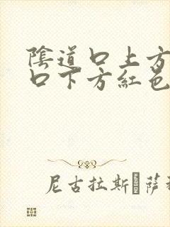 阴道口上方尿道口下方红色肉芽肉粒