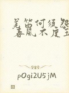 羌笛何须怨杨柳 春风不度玉门关什么意思