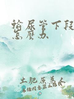 输尿管下段结石怎么办