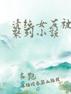 清纯女友被开发系列小说