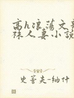 高h浪荡文辣丝袜人妻小说