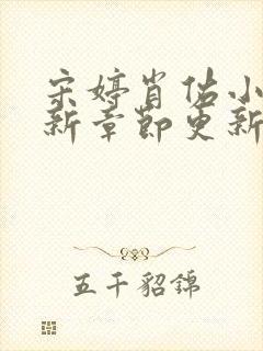 宋婷肖佑小说最新章节更新时间