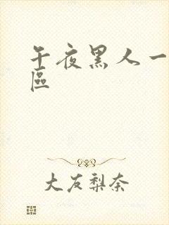 午夜黑人一区二区