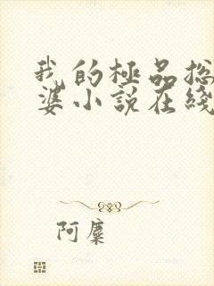 我的极品总裁老婆小说在线阅读