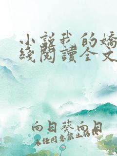 小说我的娇妻在线阅读全文