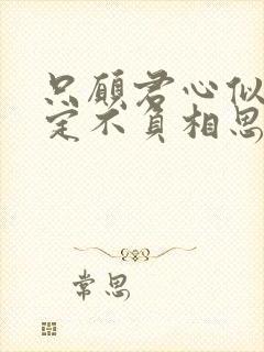 只愿君心似我心定不负相思意表达了什么