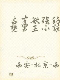 占有欲强的病娇双男主小说